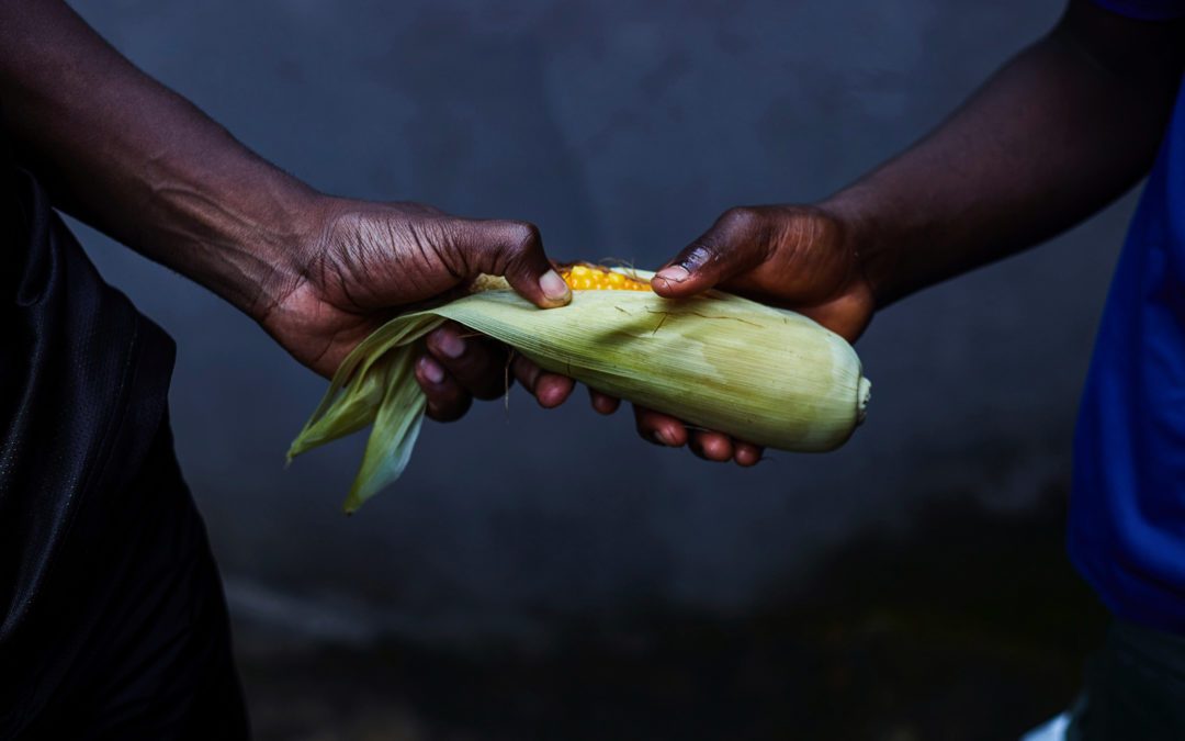 Unleashing Africa’s Agricultural Potential