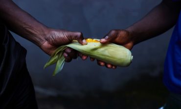 Unleashing Africa's Agricultural Potential