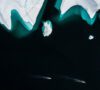 Earthshot Prize 2024 Applications for Nomination