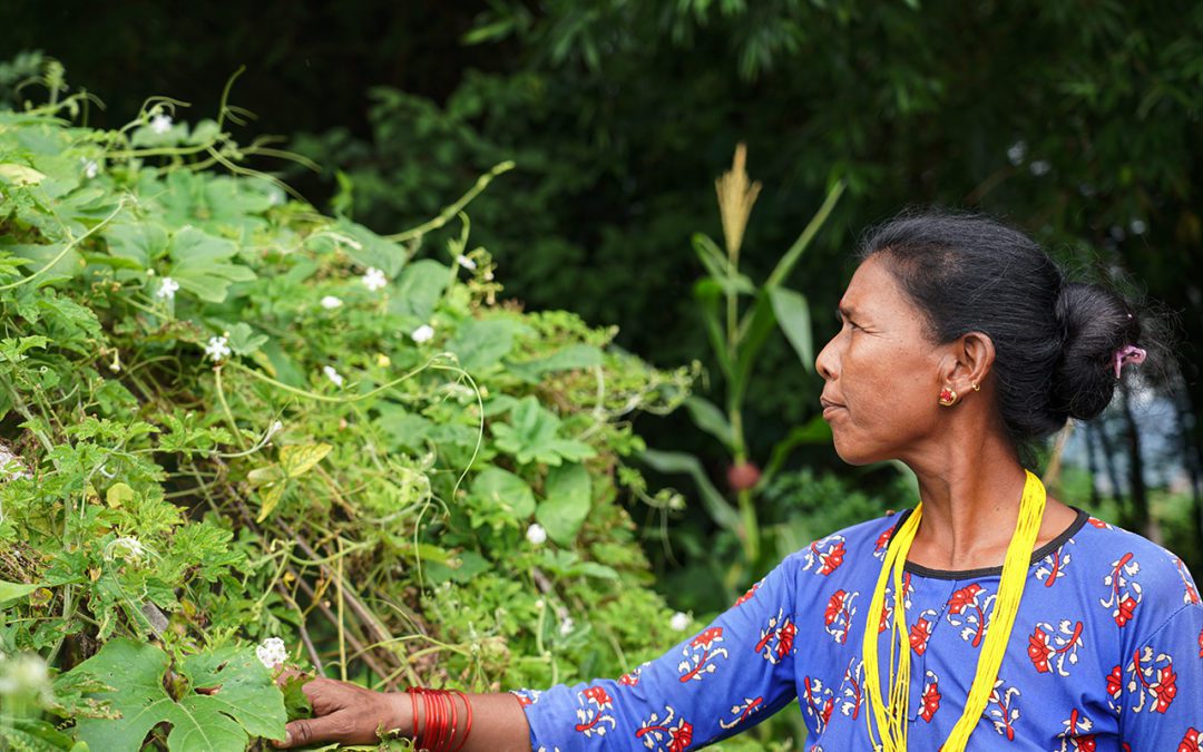 Women Farmers Localize Food System in Rural Nepal