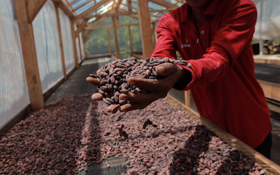 From Bean to Bar