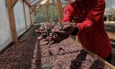 From Bean to Bar