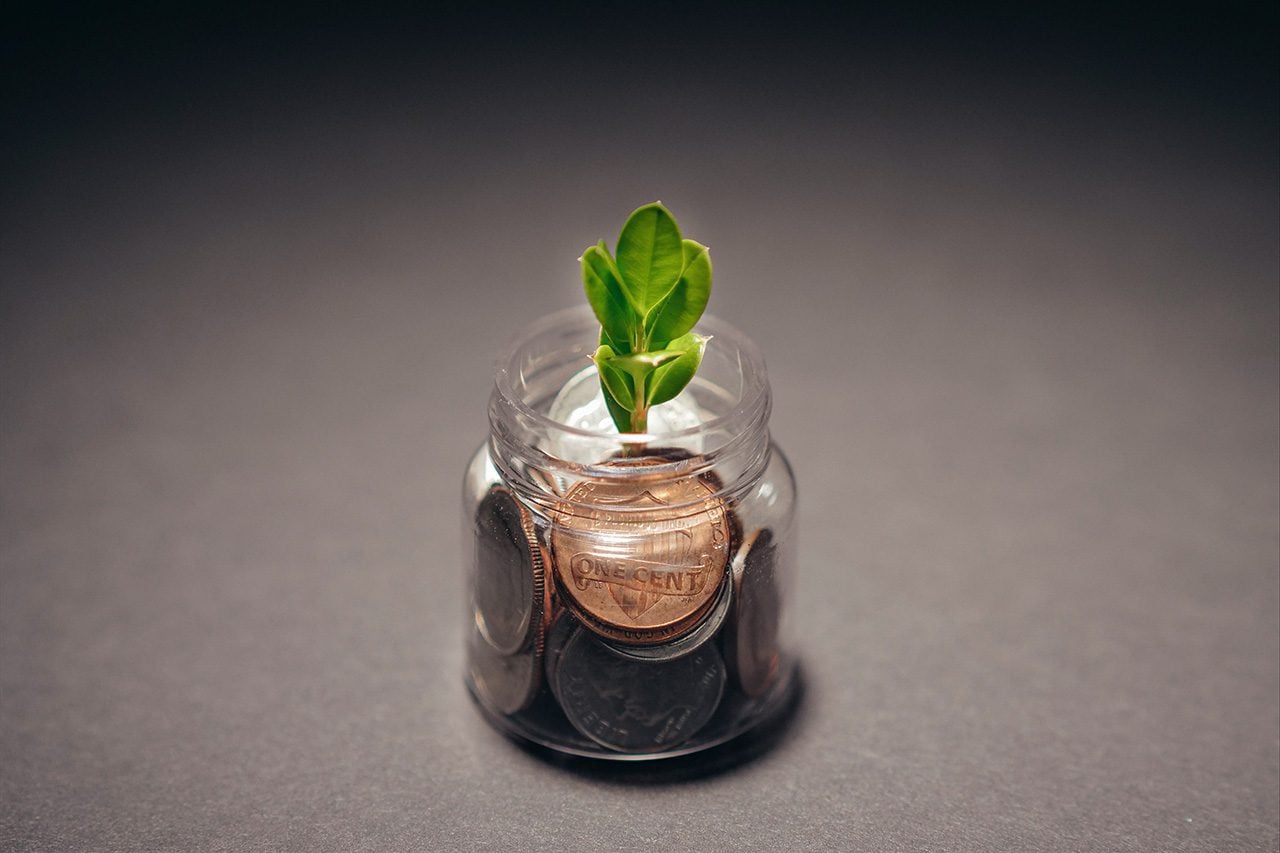 Plant in jar of money