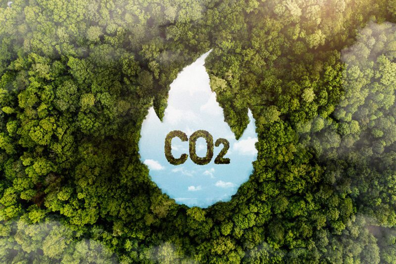 CO2 and Forest graphic