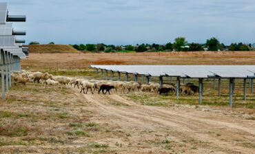 From Kilowatts to Kindness