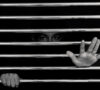 Profit or Principles: The Private Prison Dilemma