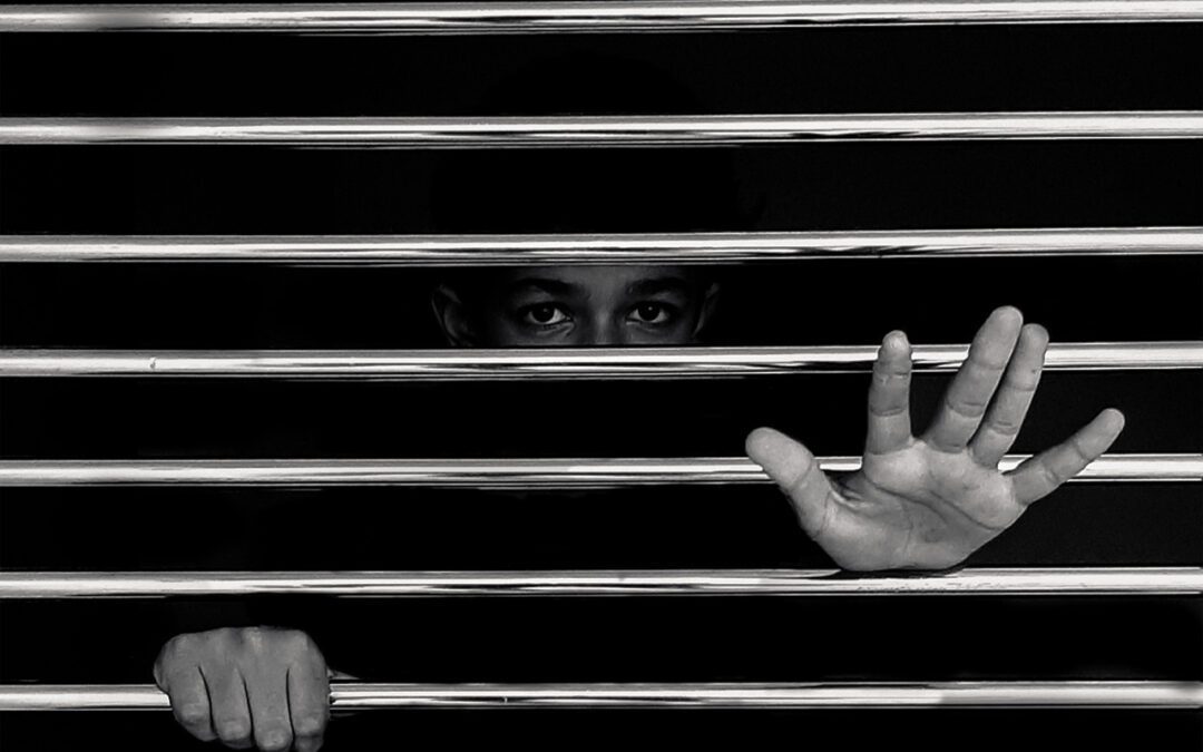 Profit or Principles: The Private Prison Dilemma