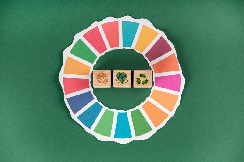 SDG color wheel with icons inside circle