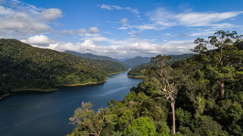 Royal Belum State Park