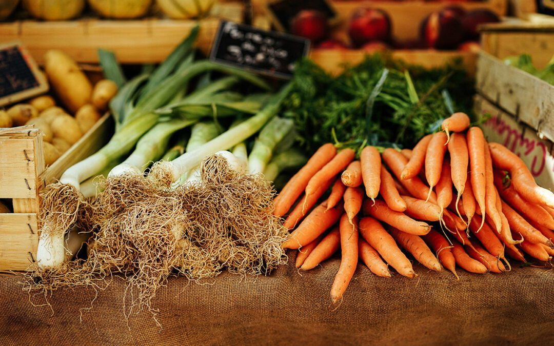 Solving Food Access Requires Rethinking Food Systems