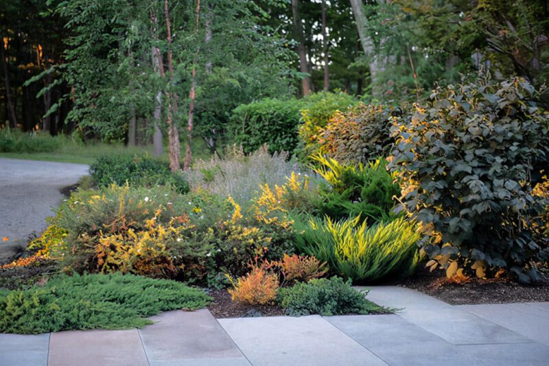 A mixture of native and non-native plants at a residential property. Photo by Susan Teare. Design by JMMDS