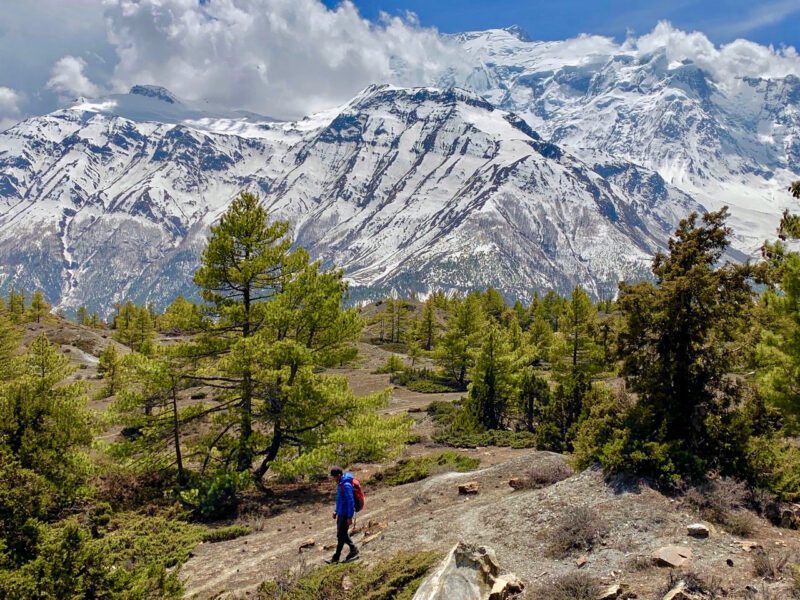 Man hiking in Himalayas
