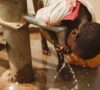 Financial Innovations for Climate Resilience in the Water Sector
