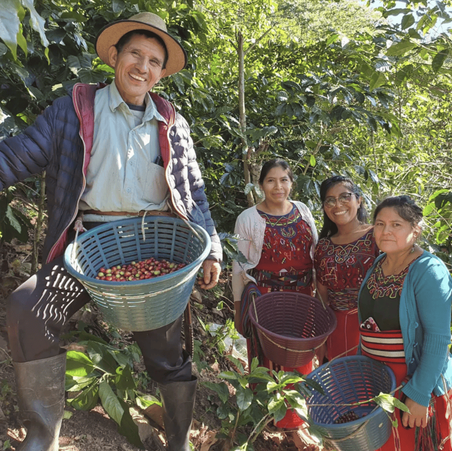 FECCEG-Coffee-Farmers-in-Guatemala-square.png