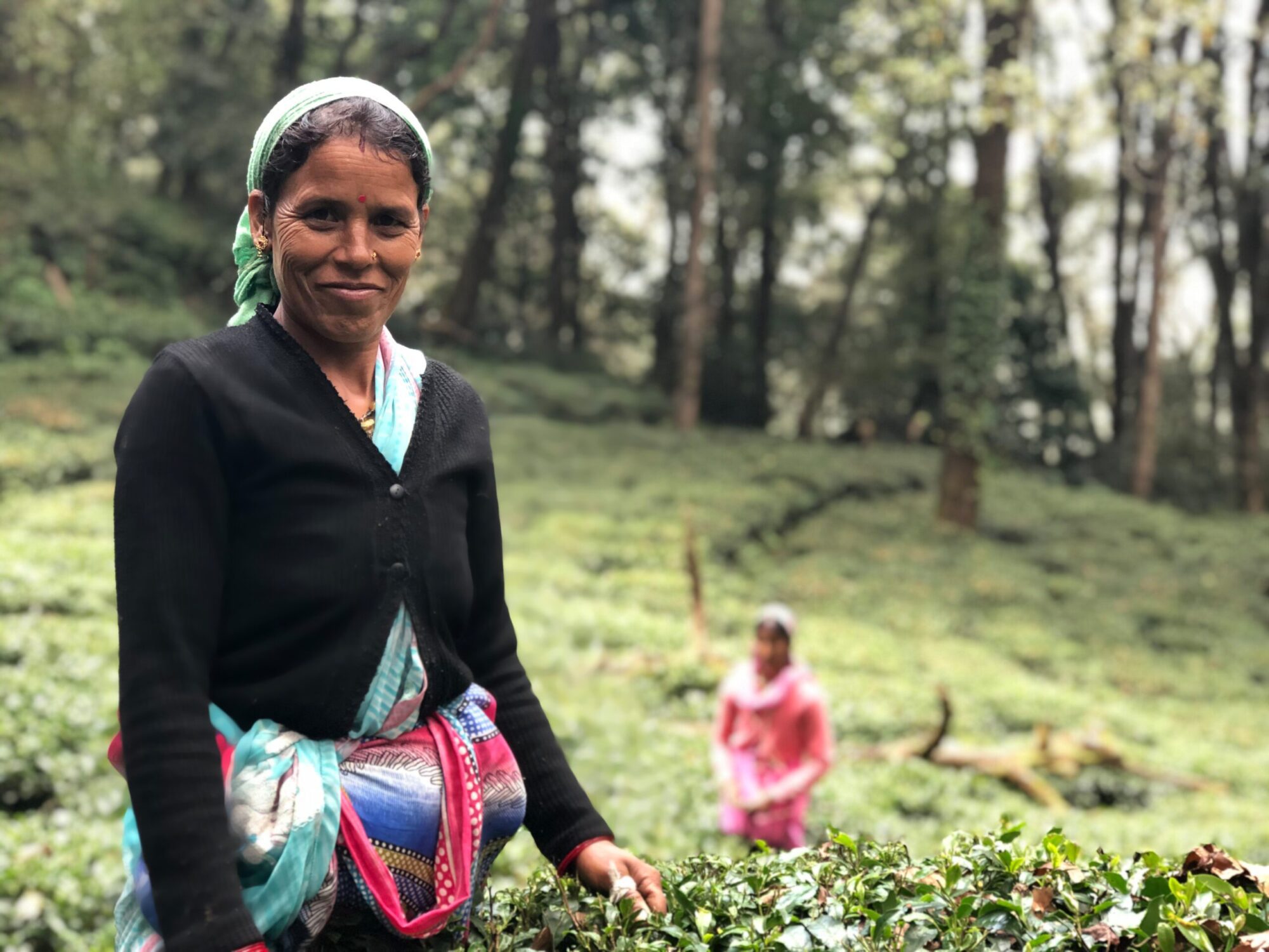 R.I.S.E. Artisan Fund Invests in the Supply Chain
