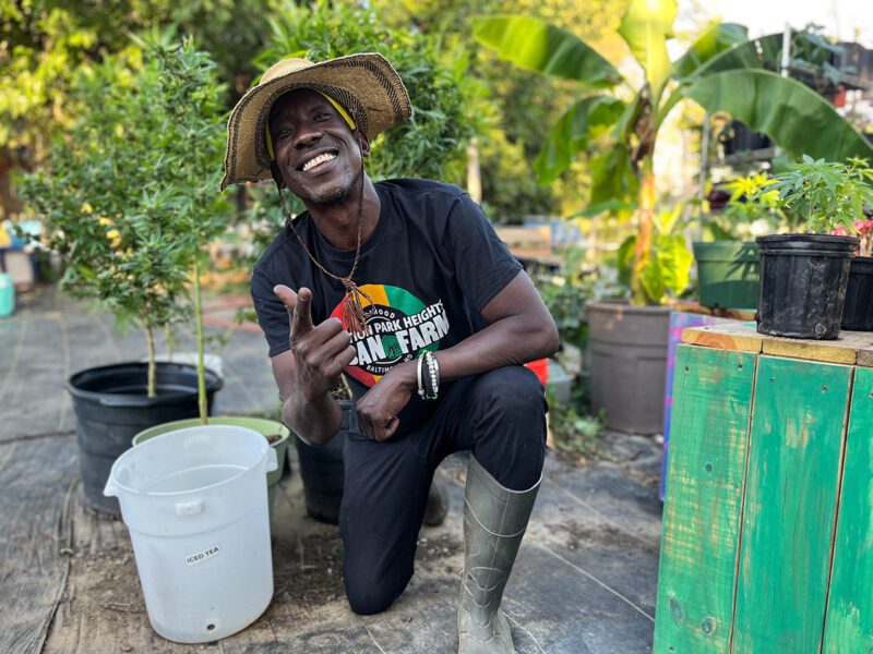 African American farmer smiling