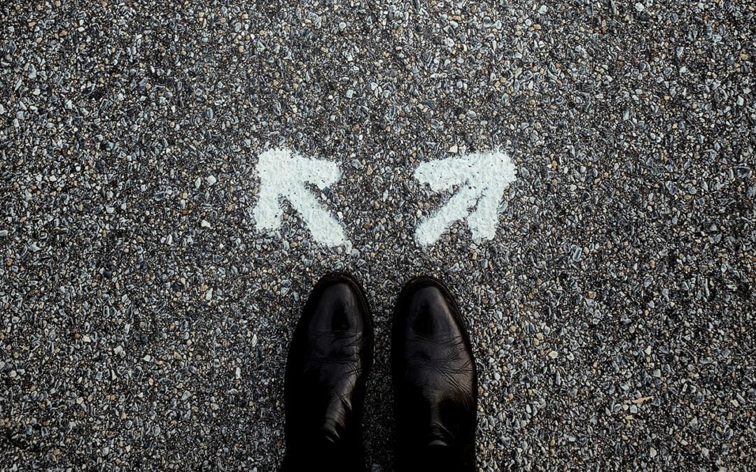 Choosing the Right Entity for Your Impact-Driven Business