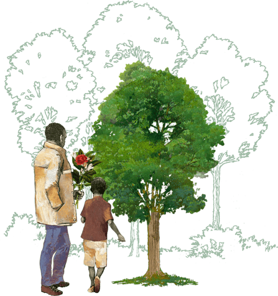Tree burial graphic