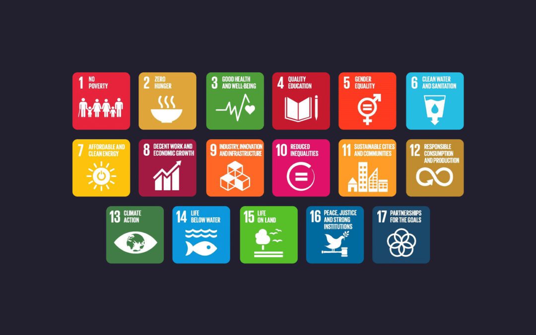 The SDGs That Investors Ignore