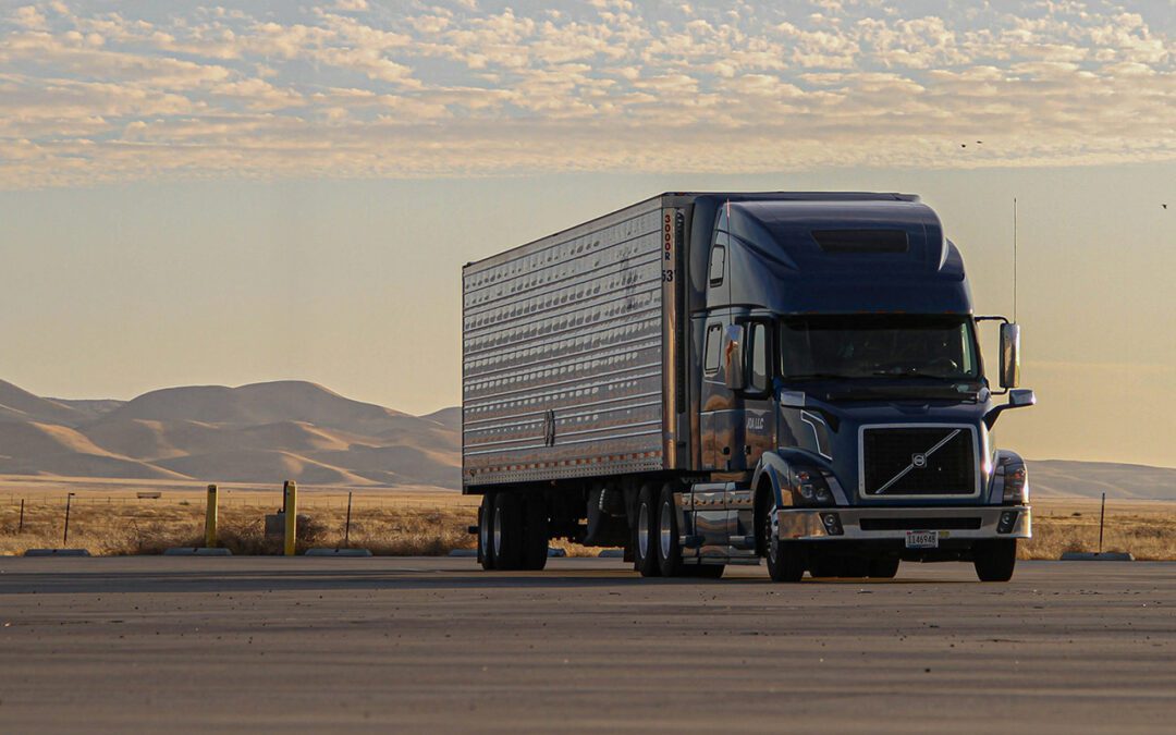 Balancing Sustainability and Survival in European Trucking