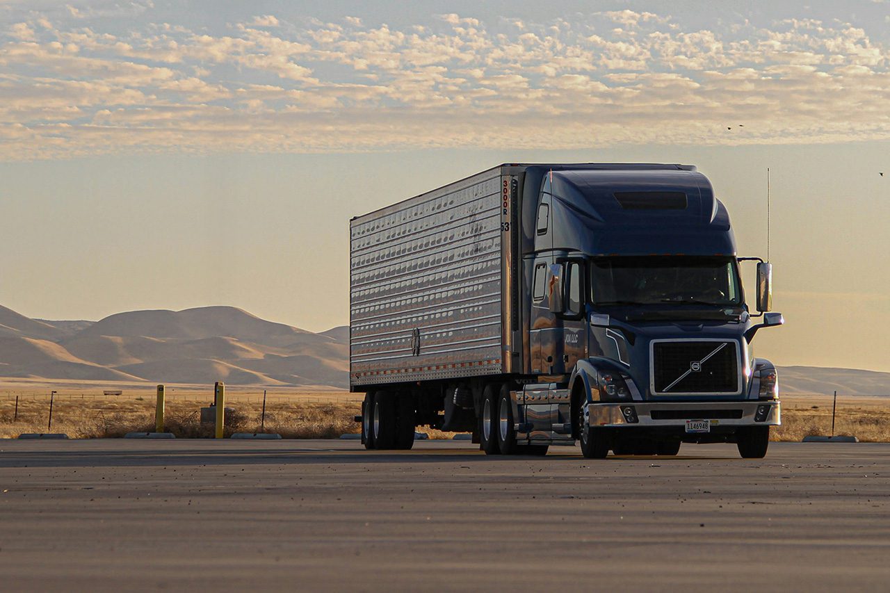 Balancing Sustainability and Survival in European Trucking