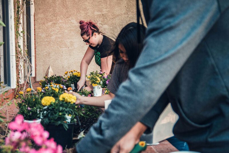 People working in flower store