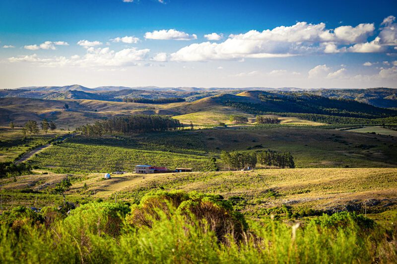 Uruguay grasslands landscape