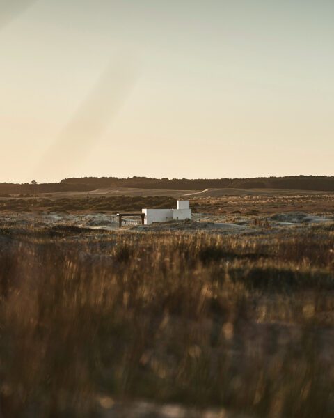 Uruguay grasslands