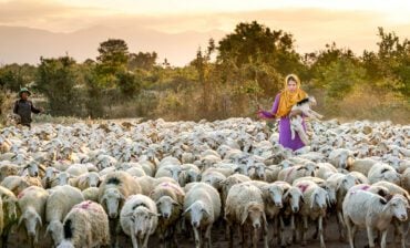 Redesigning Climate Finance for Frontline Impact