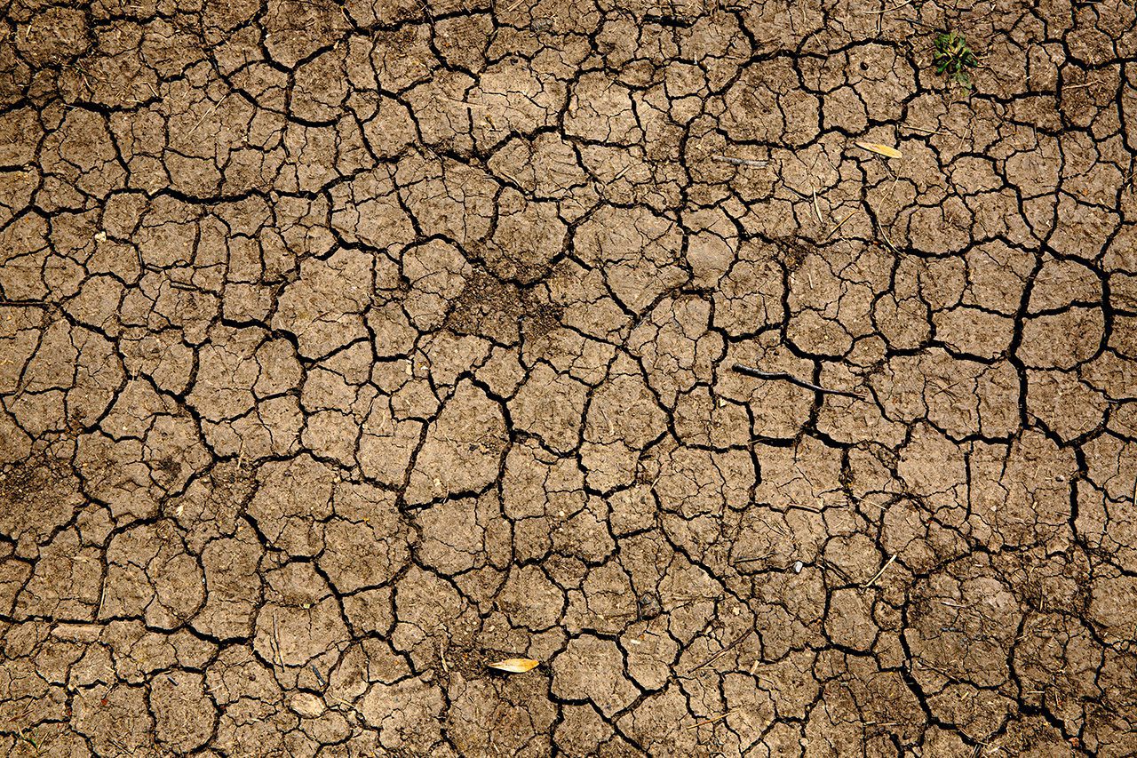 Parched and cracking soil