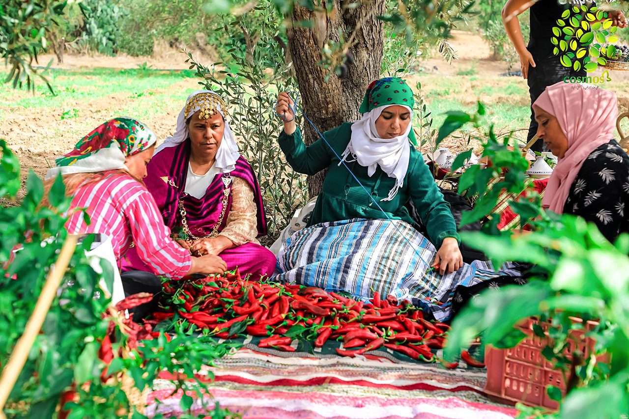 Tunisian Women Pepeppers