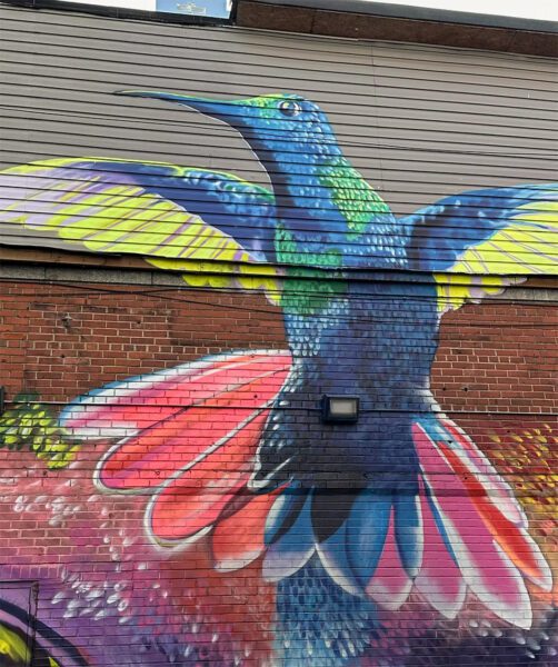 Colorful hummingbird mural on wall