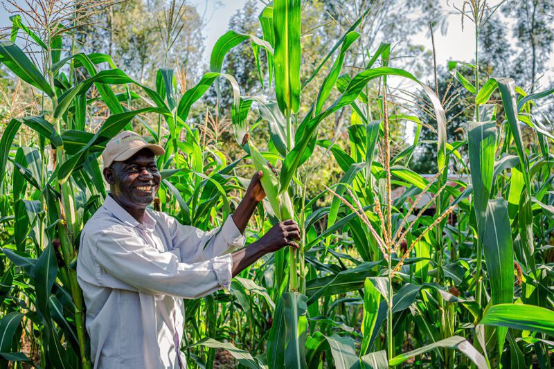 African male farmer