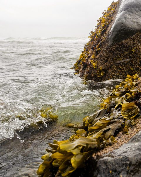 Cliffs on coastline