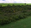 Brazilian Deforestation Fund Provides $60 million for Farms