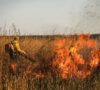 Empowering Indigenous Firefighters