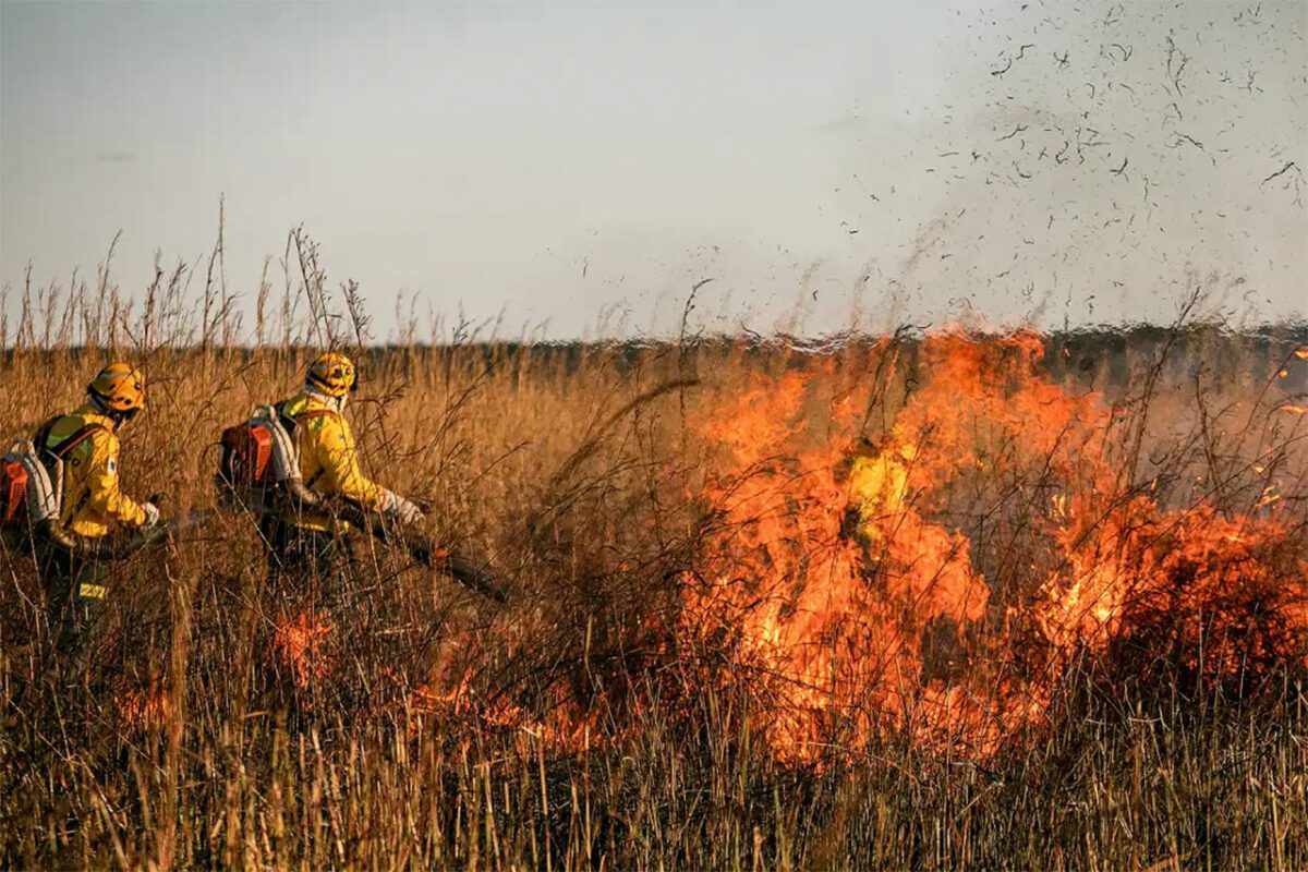 Action against fire. Photo by Keiny Andrade - Bunge Foundation)