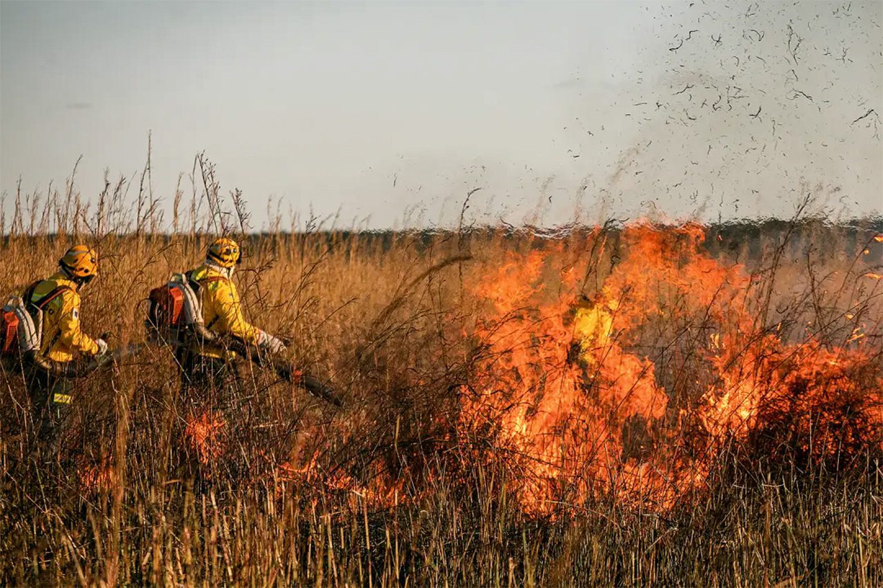 Firefighters fight brush fire