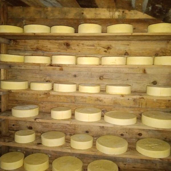 Nepali cheese storage