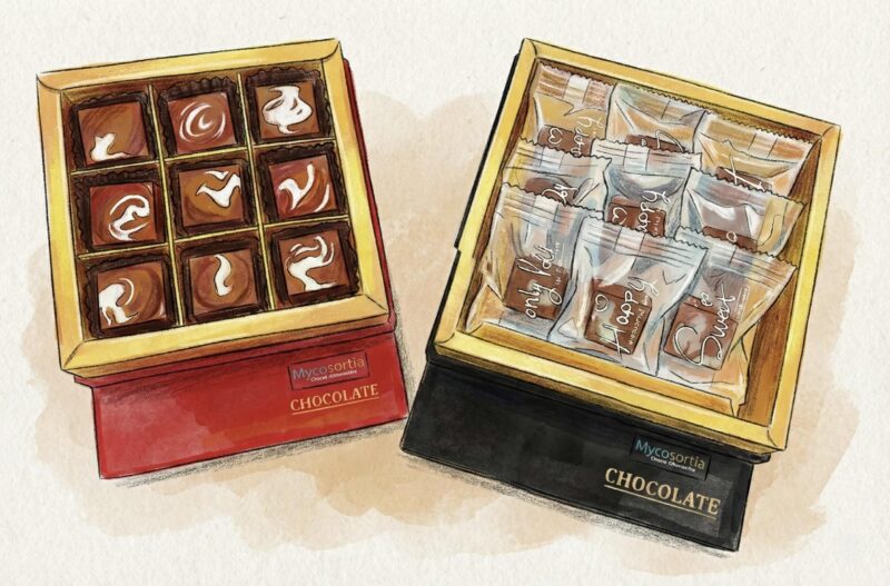 Mycosortia Cocoa Alternative Chocolates boxes illustration