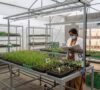 Regenerative Agriculture Won’t Scale on Adoption Alone