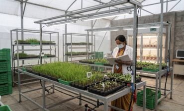 Regenerative Agriculture Won’t Scale on Adoption Alone