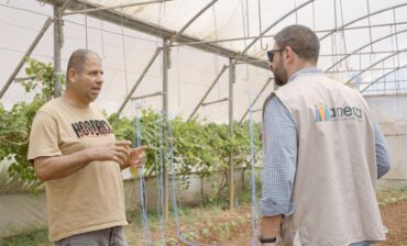 Anera Ventures Finances 60 Small Businesses in the West Bank